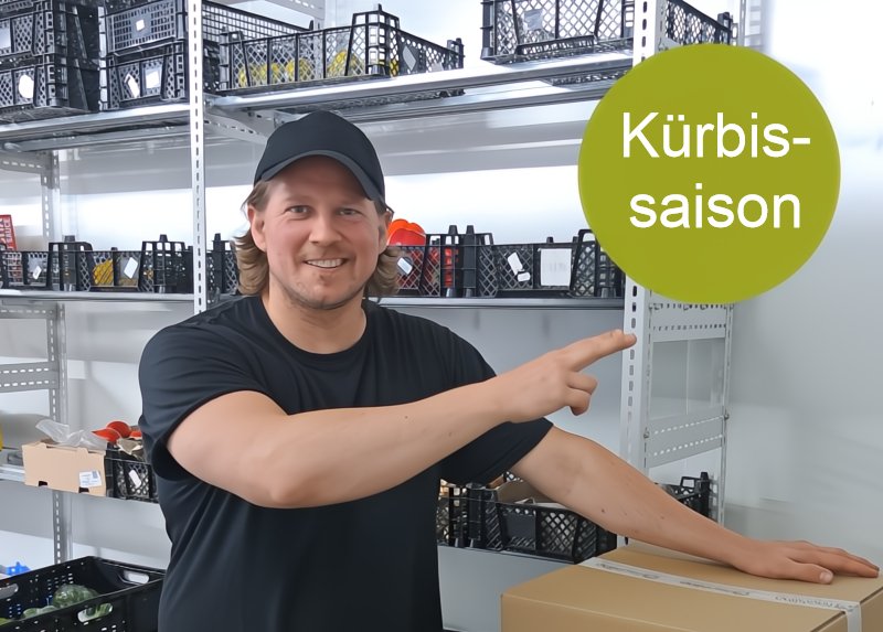 Kürbiszeit geht los 