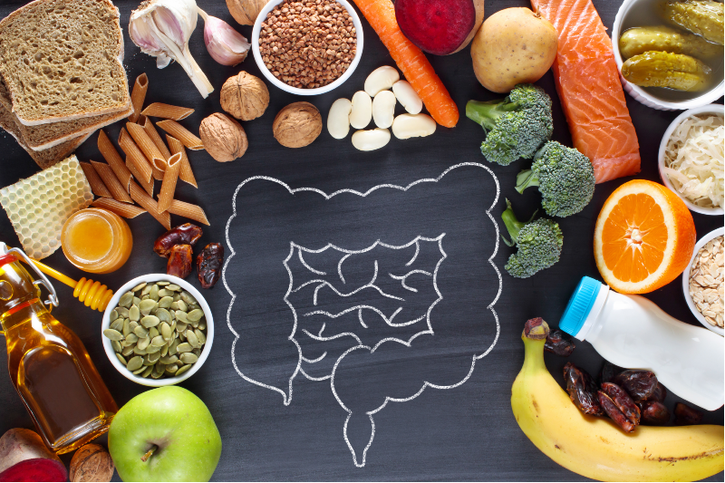 Darm gesund Mensch gesund
